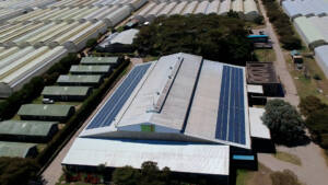 Solar energy solutions in Kenya