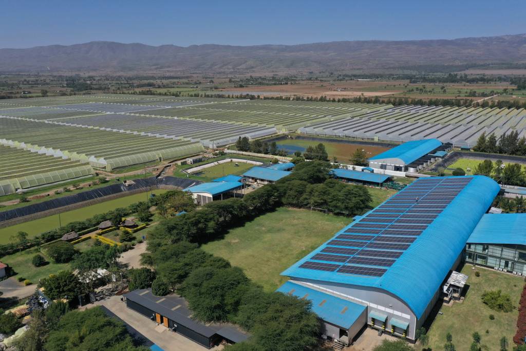 Arial view of Fleur Africa flower factory & processing plant. Solar